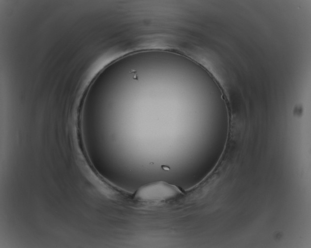 X0000096651187200802051147