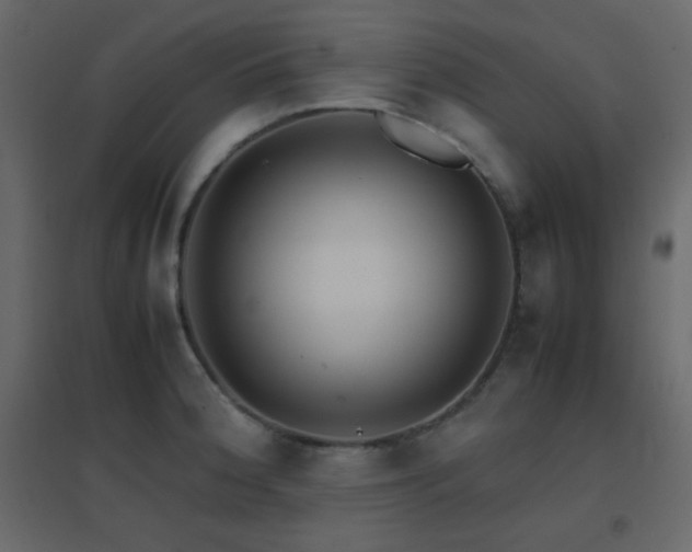 X0000096651188200802051147