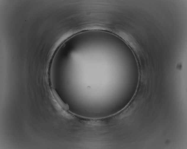 X0000096651189200802051147