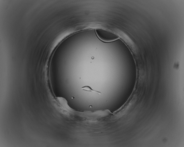 X0000096651190200802051147