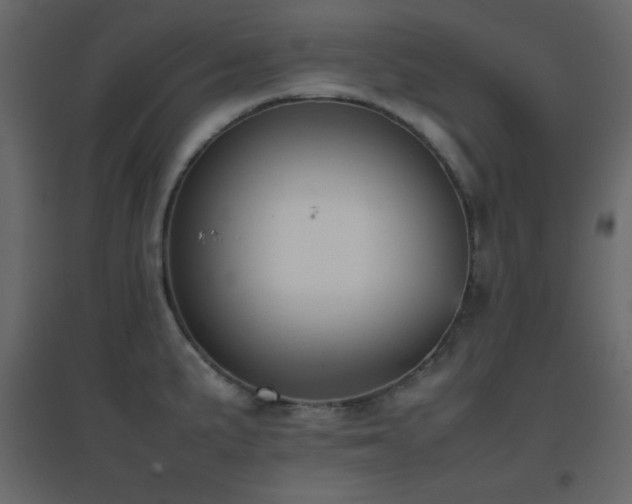 X0000096651191200802051147