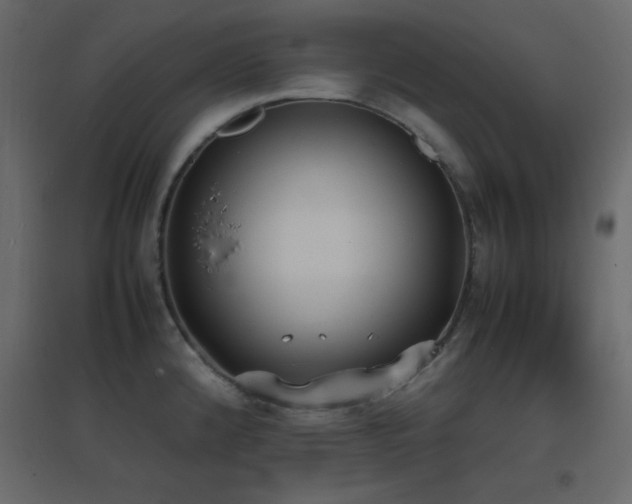 X0000096651192200802051147