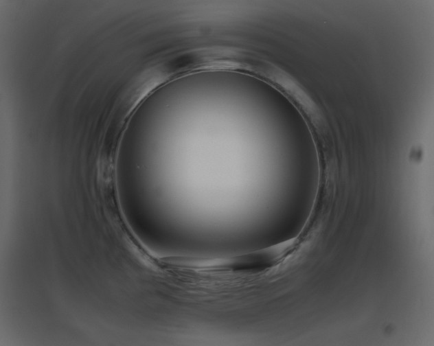 X0000096651193200802051147