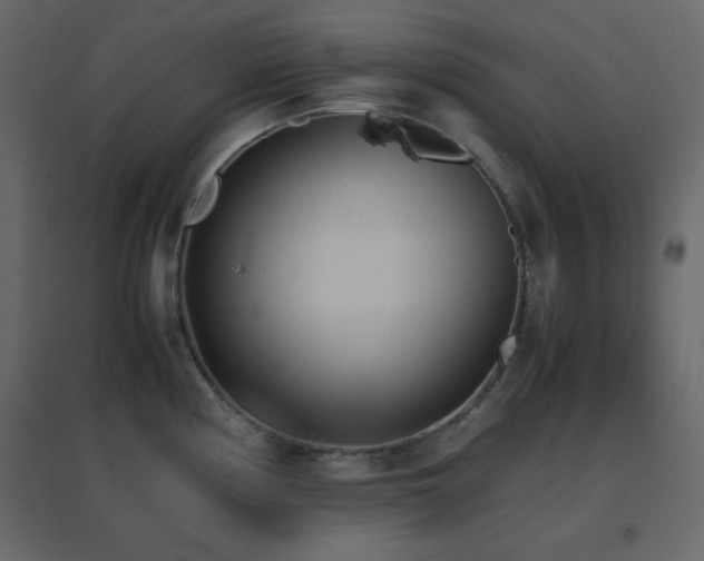 X0000096651194200802051147
