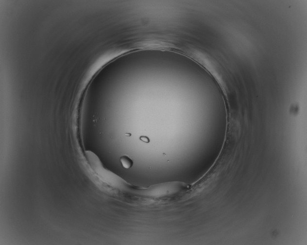 X0000096651195200802051147
