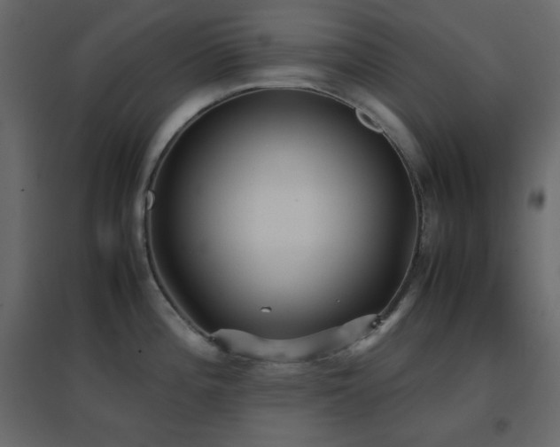 X0000096651196200802051147