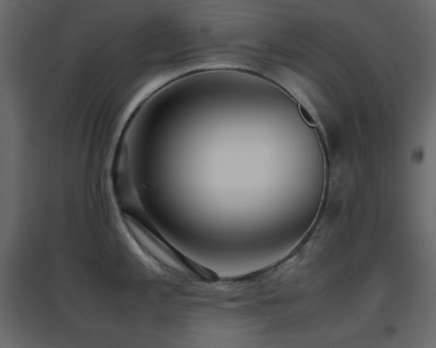 X0000096651197200802051147