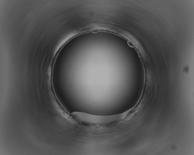 X0000096651198200802051147