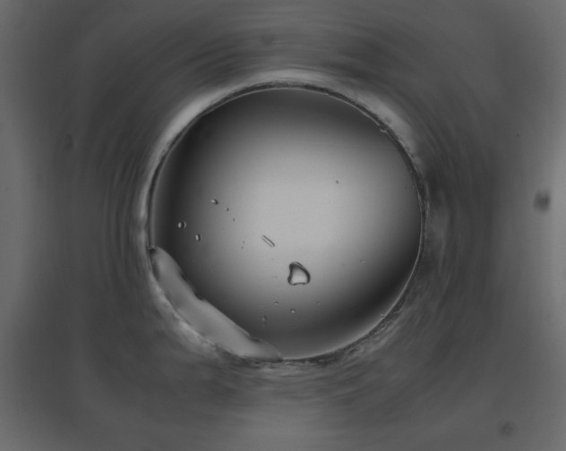 X0000096651199200802051147