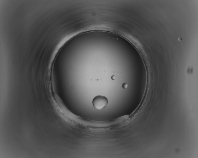 X0000096651200200802051147