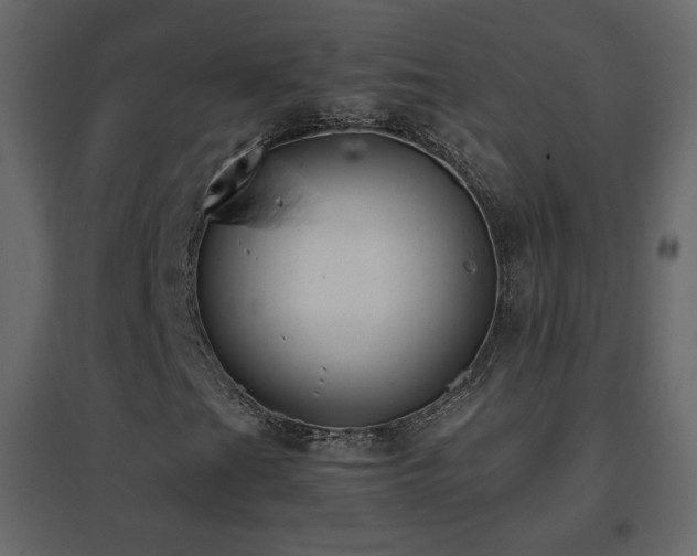X0000096651201200802051146