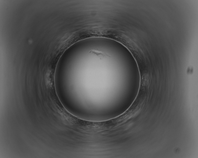 X0000096651202200802051146