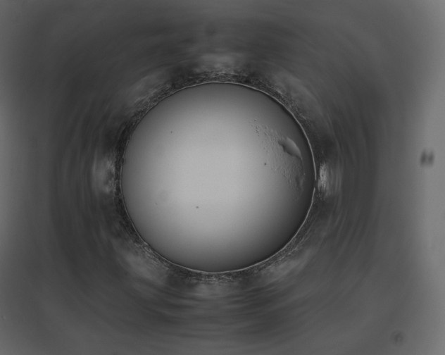 X0000096651203200802051146