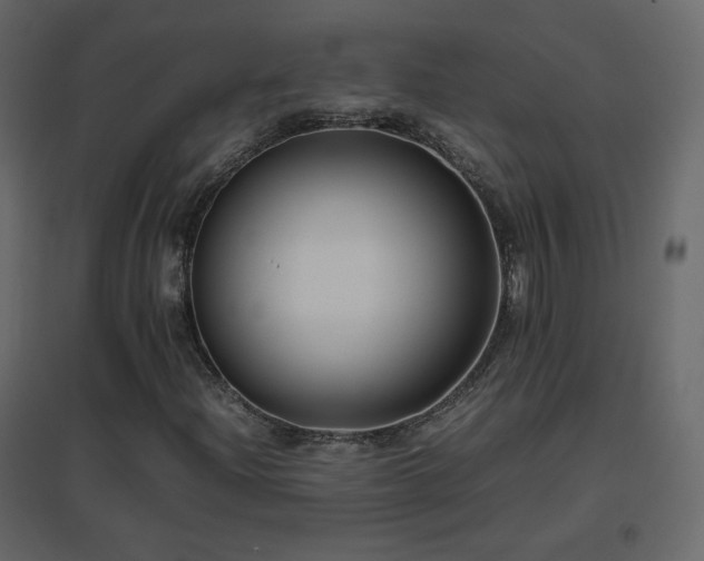X0000096651204200802051146