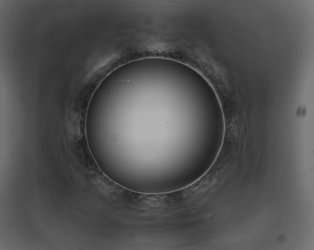 X0000096651205200802051146