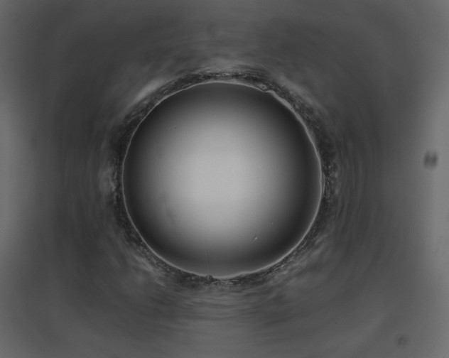 X0000096651206200802051146