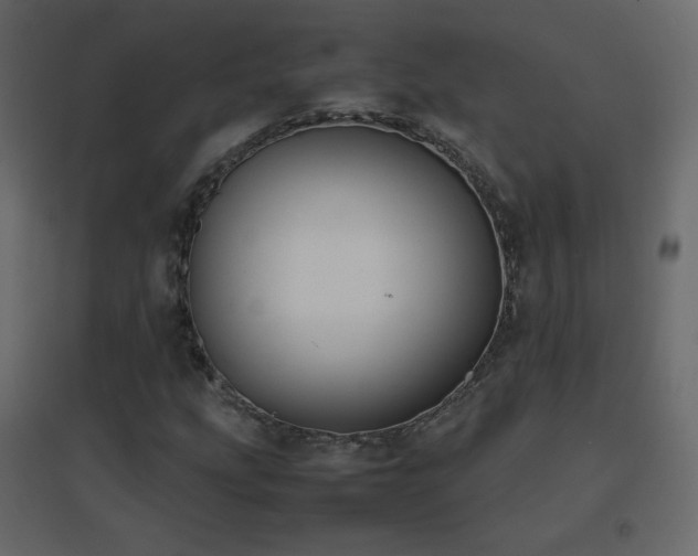 X0000096651207200802051146