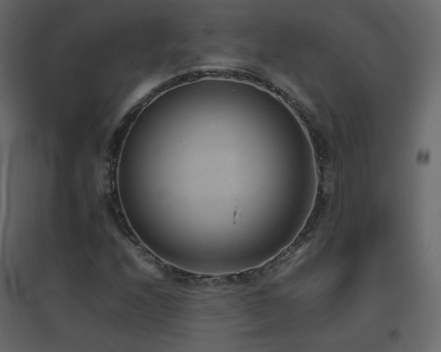 X0000096651208200802051146