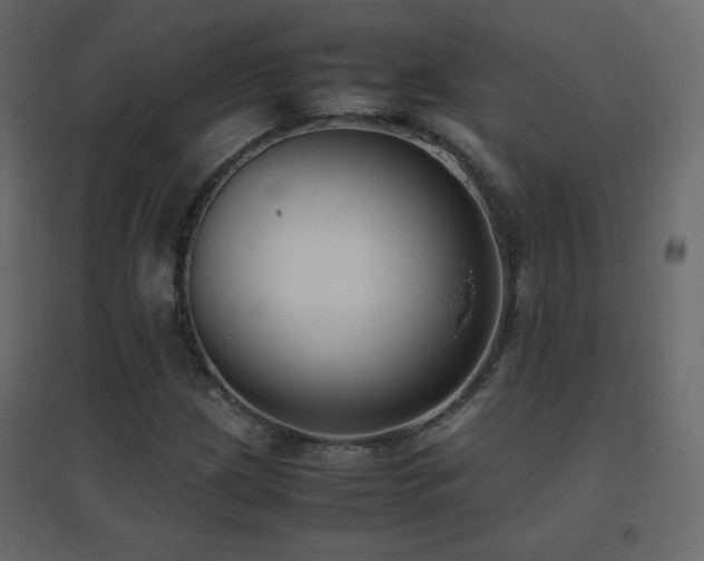 X0000096651209200802051146