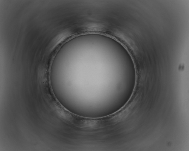 X0000096651211200802051146