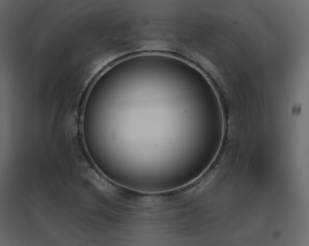 X0000096651212200802051147