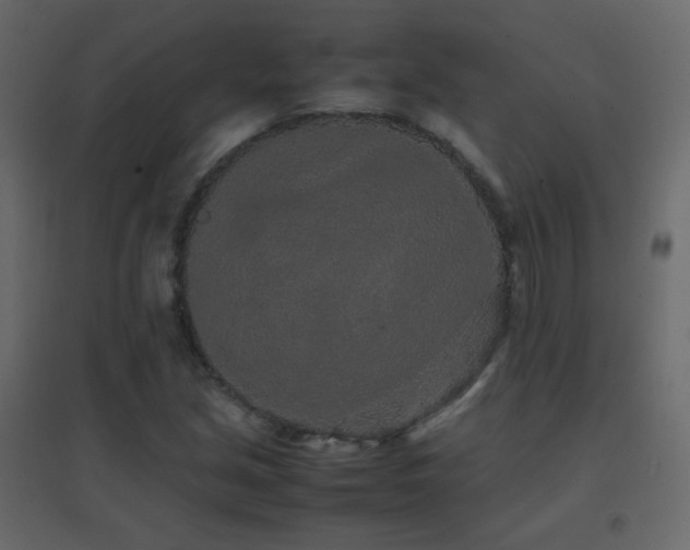 X0000096651213200802051147