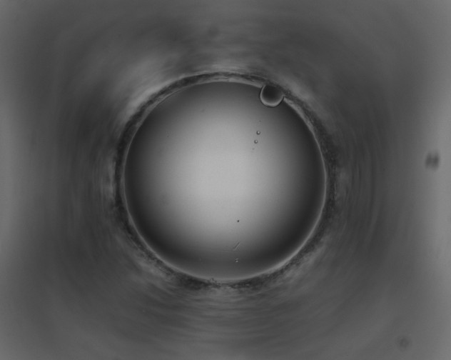 X0000096651214200802051147