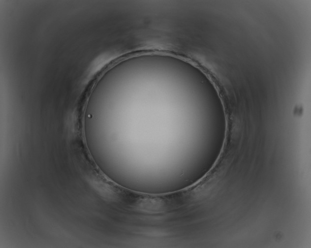 X0000096651215200802051147