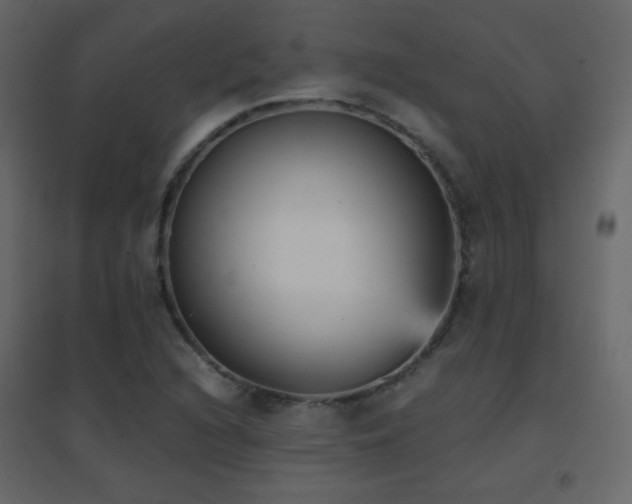 X0000096651216200802051147