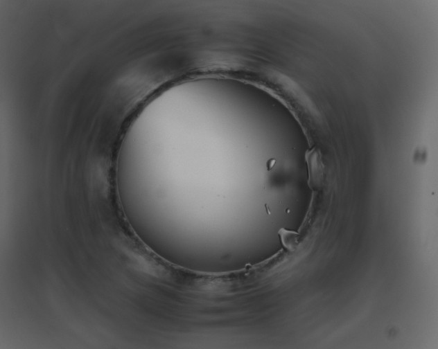 X0000096651217200802051147