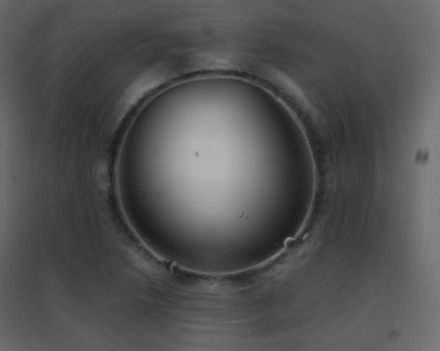 X0000096651218200802051147
