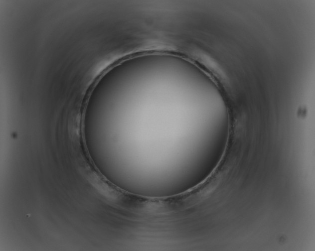 X0000096651220200802051147