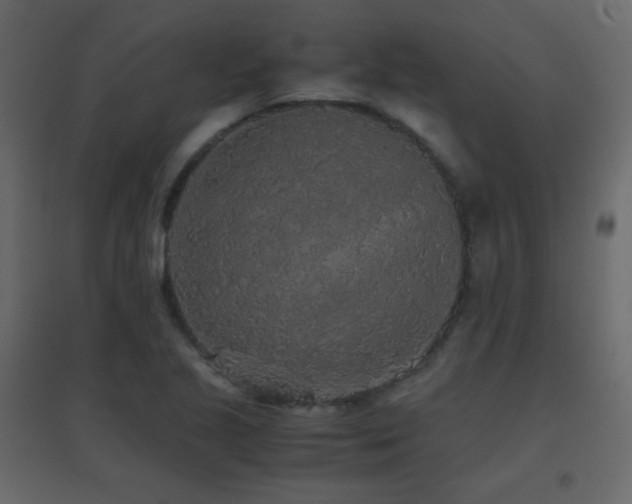 X0000096651221200802051147