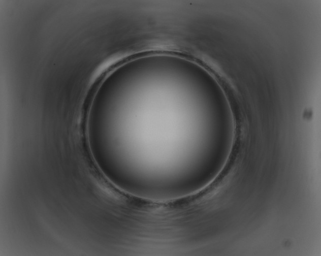 X0000096651222200802051147