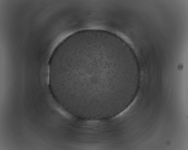 X0000096651223200802051147