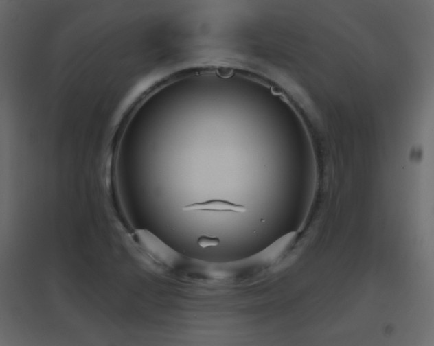 X0000096651224200802051147