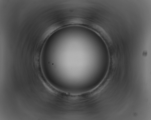 X0000096651225200802051147
