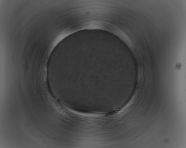 X0000096651226200802051147