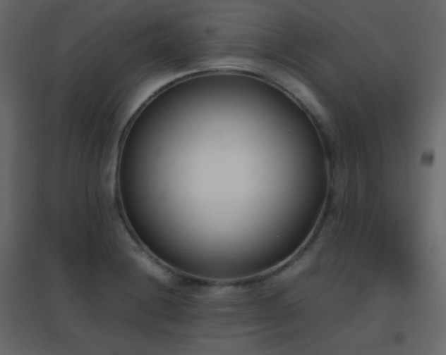 X0000096651228200802051147
