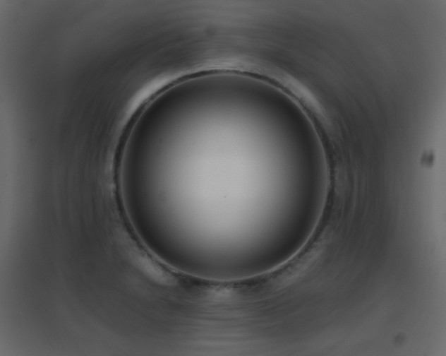 X0000096651230200802051147