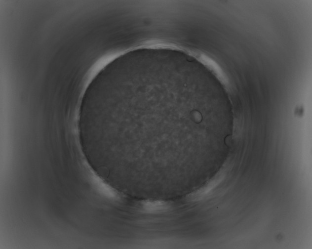 X0000096651231200802051147