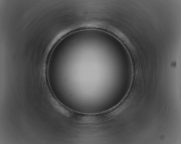 X0000096651232200802051147