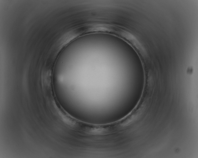 X0000096651233200802051147