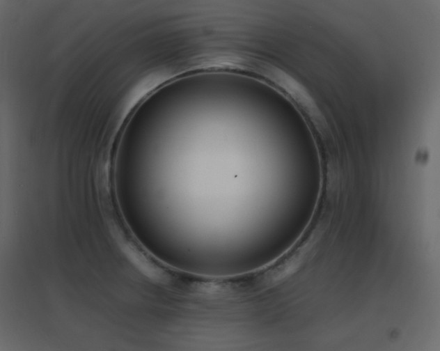 X0000096651234200802051147
