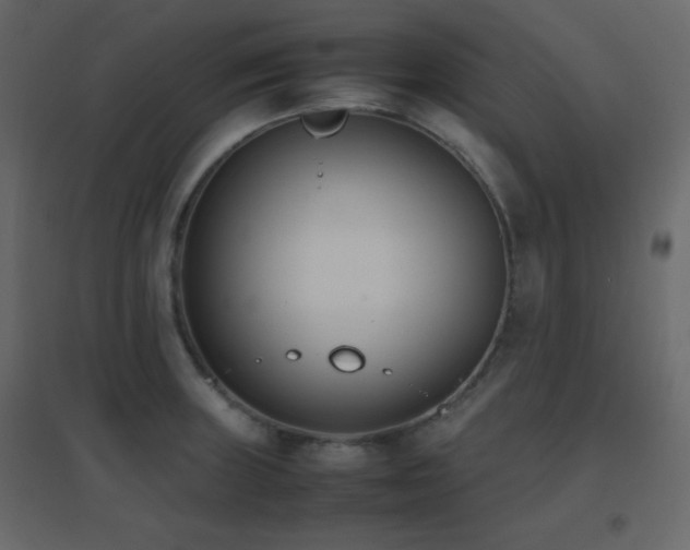 X0000096651235200802051147