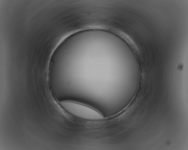 X0000096651236200802051147
