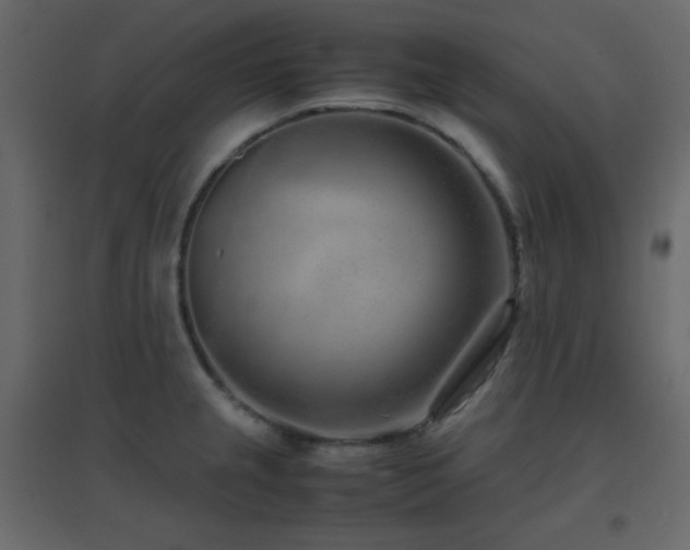 X0000096651237200802051147