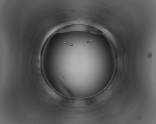X0000096651238200802051147