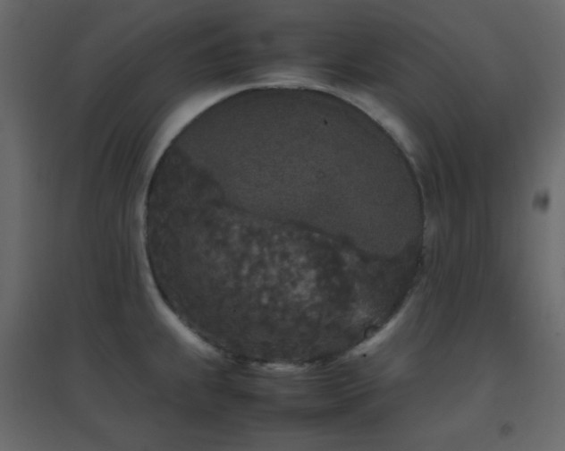 X0000096651239200802051147