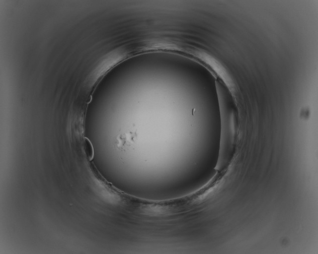 X0000096651241200802051147